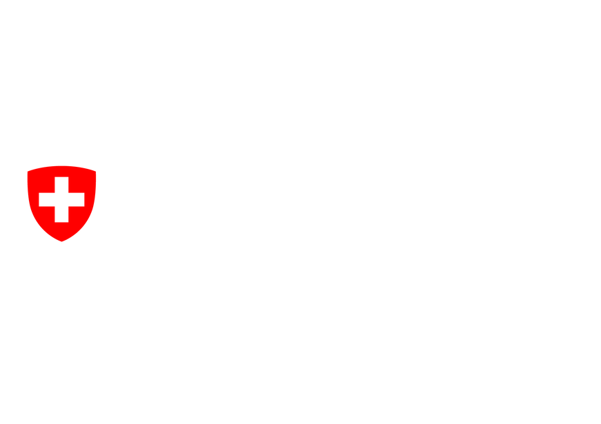 Innosuisse Core Coaching